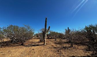 Foto de inmueble en acceso, Col. El Carrizal C.P. 23250, La Paz