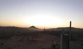 Foto de inmueble en CAMPESTRE EL PALMAR, Col. El Pescadero C.P. 23300, La Paz