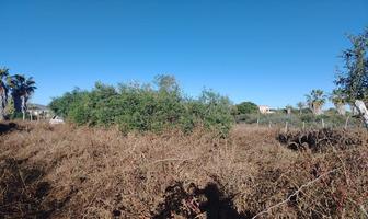 Foto de inmueble en Predio San Carlos, Col. El Pescadero C.P. 23300, La Paz
