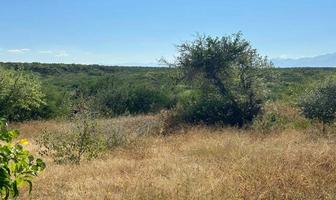 Foto de inmueble en Ramal a La Ribera, Col. La Rivera C.P. 23570, Los Cabos