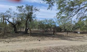 Foto de inmueble en Agua Amarga, Col. Los Planes C.P. 23230, La Paz