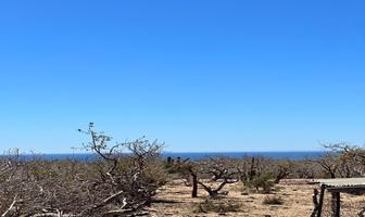 Foto de inmueble en , Col. San José del Cabo Centro C.P. 23400, Los Cabos