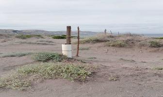 Foto de inmueble en , Col. San Juan de la Costa C.P. 23174, La Paz