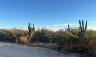 Foto de inmueble en Acceso, Col. San Pedro C.P. 23240, La Paz