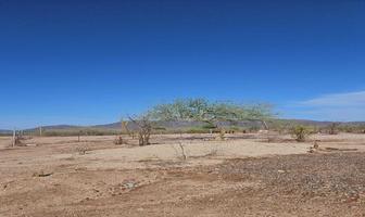 Foto de inmueble en , Col. San Pedro C.P. 23240, La Paz