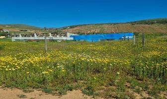 Foto de inmueble en , Col. Villas del Campo C.P. 22785, Ensenada