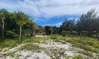 Foto de inmueble en , Col. Isla Aguada C.P. 24327, Carmen