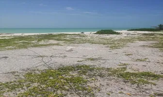 Foto de inmueble en Sin nombre de calle, Col. Isla Aguada Centro C.P. 24327, Carmen