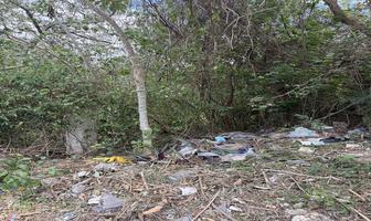Foto de inmueble en calle 8, Col. Lázaro Cárdenas C.P. 24095, Campeche