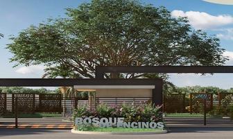 Foto de inmueble en S/N, Col. Paseo de los Bosques C.P. 24157, Carmen
