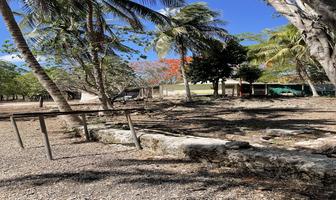 Foto de inmueble en Carretera federal, Col. San Francisco Koben C.P. 24560, Campeche