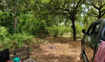 Foto de inmueble en El roble #S/N, Col. Ampliación Covadonga C.P. 29160, Chiapa de Corzo