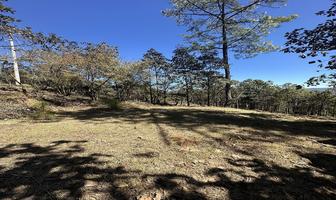 Foto de inmueble en loos robles, Col. Bosques de Huitepec C.P. 29247, San Cristóbal de las Casas