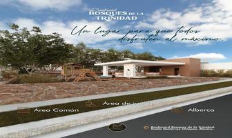 Foto de inmueble en calle ., Col. Bosques de la Trinidad C.P. 29054, Tuxtla Gutiérrez