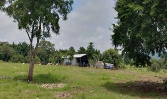 Foto de inmueble en Carretera Internacional-Berriozábal, Col. Cabeza de Agua (San Antonio) C.P. 29180, Chiapa de Corzo