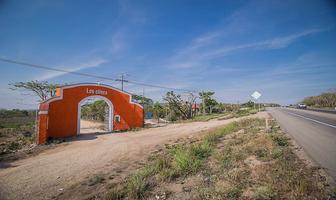 Foto de inmueble en CARRETERA AL ISTMO KM 130, Col. Candelaria C.P. 29130, Berriozábal