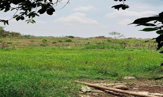 Foto de inmueble en , Col. Cantón Pacayalito C.P. 30826, Tapachula