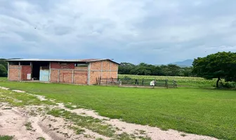 Foto de inmueble en RANCHO CINTALAPA #00, Col. Cintalapa de Figueroa Centro C.P. 30400, Cintalapa