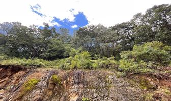 Foto de inmueble en , Col. Corral de Piedra C.P. 29299, San Cristóbal de las Casas