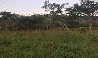 Foto de inmueble en Carretera Apicpac, Col. Cruz Blanca C.P. 29140, Ocozocoautla de Espinosa