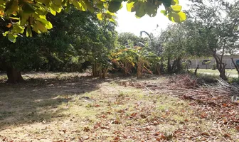 Foto de inmueble en Sin nombre de calle #sn, Col. El Carmen C.P. 30453, Arriaga