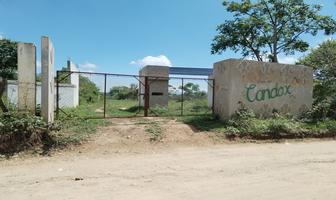 Foto de inmueble en , Col. El Palmar C.P. 29130, Berriozábal