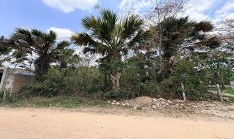 Foto de inmueble en , Col. El Palmar C.P. 29130, Berriozábal