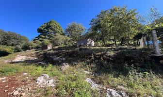 Foto de inmueble en sin nombre, Col. El Paraíso C.P. 29213, San Cristóbal de las Casas