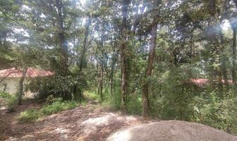 Foto de inmueble en , Col. Huitepec Ocotal Sección II C.P. 29300, San Cristóbal de las Casas