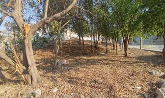 Foto de inmueble en , Col. Lomas de Mactumatza C.P. 29067, Tuxtla Gutiérrez