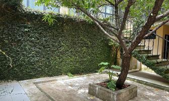 Foto de inmueble en María Mazzarello, Col. María Auxiliadora C.P. 29290, San Cristóbal de las Casas