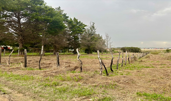 Foto de inmueble en Mariano N. Ruíz, Col. Mariano N Ruíz C.P. 30077, Comitán de Domínguez