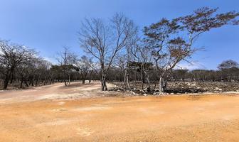 Foto de inmueble en , Col. Pedregal San Antonio C.P. 29014, Tuxtla Gutiérrez