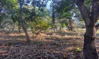 Foto de inmueble en Colonia Antorchista, Col. Real del Bosque C.P. 29040, Tuxtla Gutiérrez