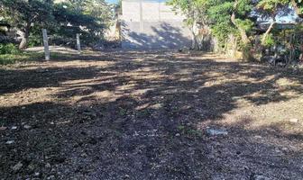 Foto de inmueble en Colonia Pluma De Oro, Col. Tuxtla Gutiérrez Centro C.P. 29000, Tuxtla Gutiérrez