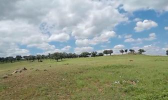Foto de inmueble en Venta DE Rancho Agricola Ganadero EN Cusihuiriachi, A HR Y Media DE Chihuahua Capital, Col. Campo Veintinueve C.P. 33245, Cusihuiriachi