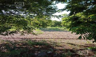 Foto de inmueble en Nogalera EN Venta CON Equipo Y Maquinaria.  Rancho Agricola EN Venta CON Casa Amueblada,  Flores Mag, Col. Carmeño C.P. 31896, Buenaventura