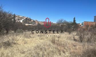 Foto de inmueble en Terreno Venta Col. del Parque, Col. Del Parque C.P. 33850, Hidalgo del Parral