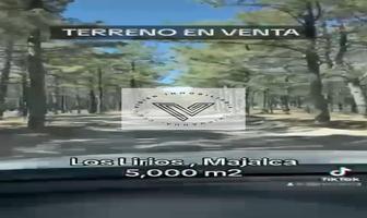 Foto de inmueble en Los Lirios Majalca, Col. Nuevo Majalca C.P. 31628, Chihuahua