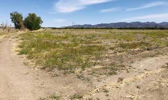Foto de inmueble en Venta DE Terreno Ubicado EN COL Agricola Hidalgo POR Sacramento, Col. Sacramento I y II C.P. 31150, Chihuahua