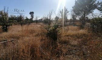 Foto de inmueble en Terreno  en Venta con Construccion de Casa de Campo, Col. Santa Monica C.P. 31126, Chihuahua