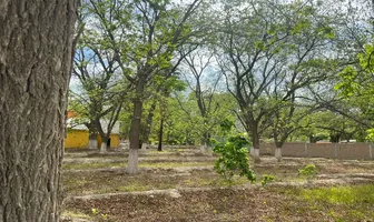 Foto de inmueble en Moctezuma #15, Col. Barrio de La Loma C.P. 27986, Parras