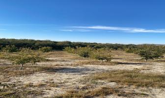 Foto de inmueble en , Col. El Durazno C.P. 27994, Parras
