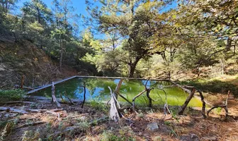 Foto de inmueble en Sin nombre de calle, Col. El Paraíso C.P. 25365, Arteaga