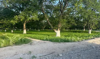 Foto de inmueble en Sin nombre de calle #1, Col. El Perú C.P. 27415, Torreón