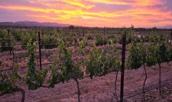 Foto de inmueble en , Col. Gral. Cepeda C.P. 25950, General Cepeda