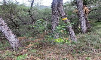 Foto de inmueble en , Col. Huachichil (El Huache) C.P. 25398, Arteaga