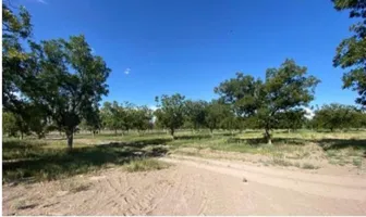 Foto de inmueble en Nogalera #0, Col. Las Nogaleras C.P. 27444, Matamoros