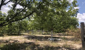 Foto de inmueble en Sin nombre de calle, Col. Los Hoyos (El Potrero) C.P. 27994, Parras
