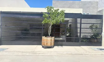 Foto de inmueble en Calle Oso #S/N, Col. Los Viñedos C.P. 27023, Torreón